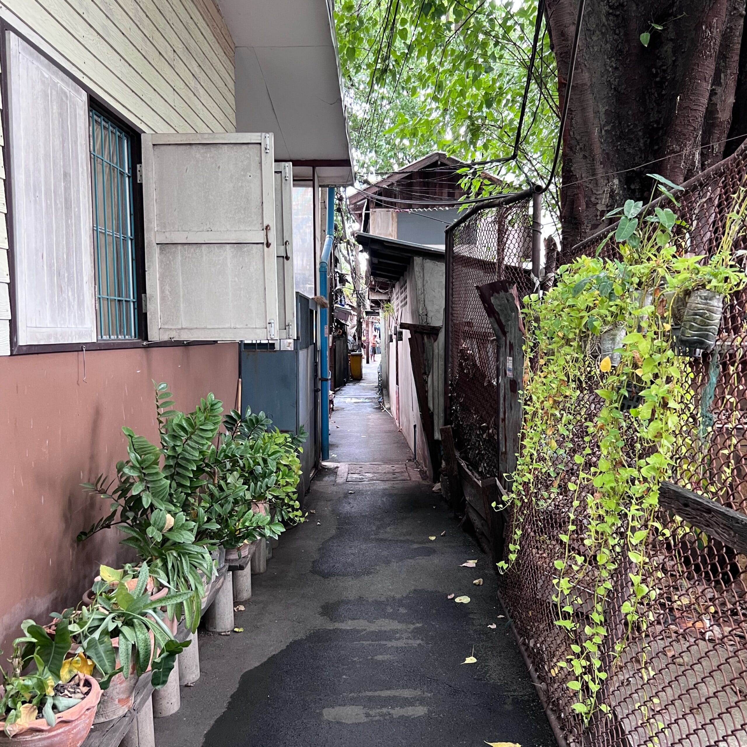 Narrow alleyway in Bangkok with homes on either side