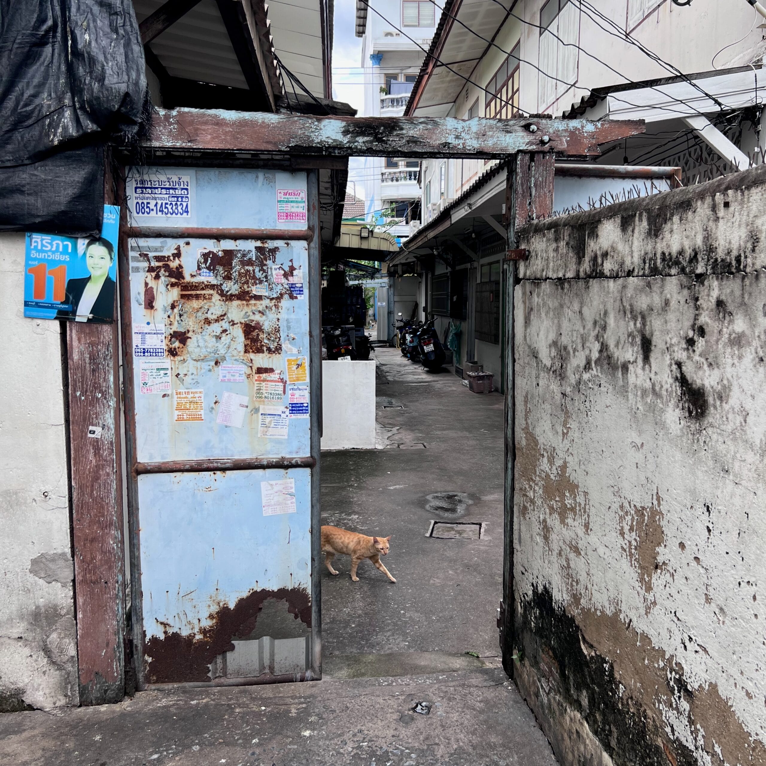 Doorway in an alley in Bangkok through to a backyard