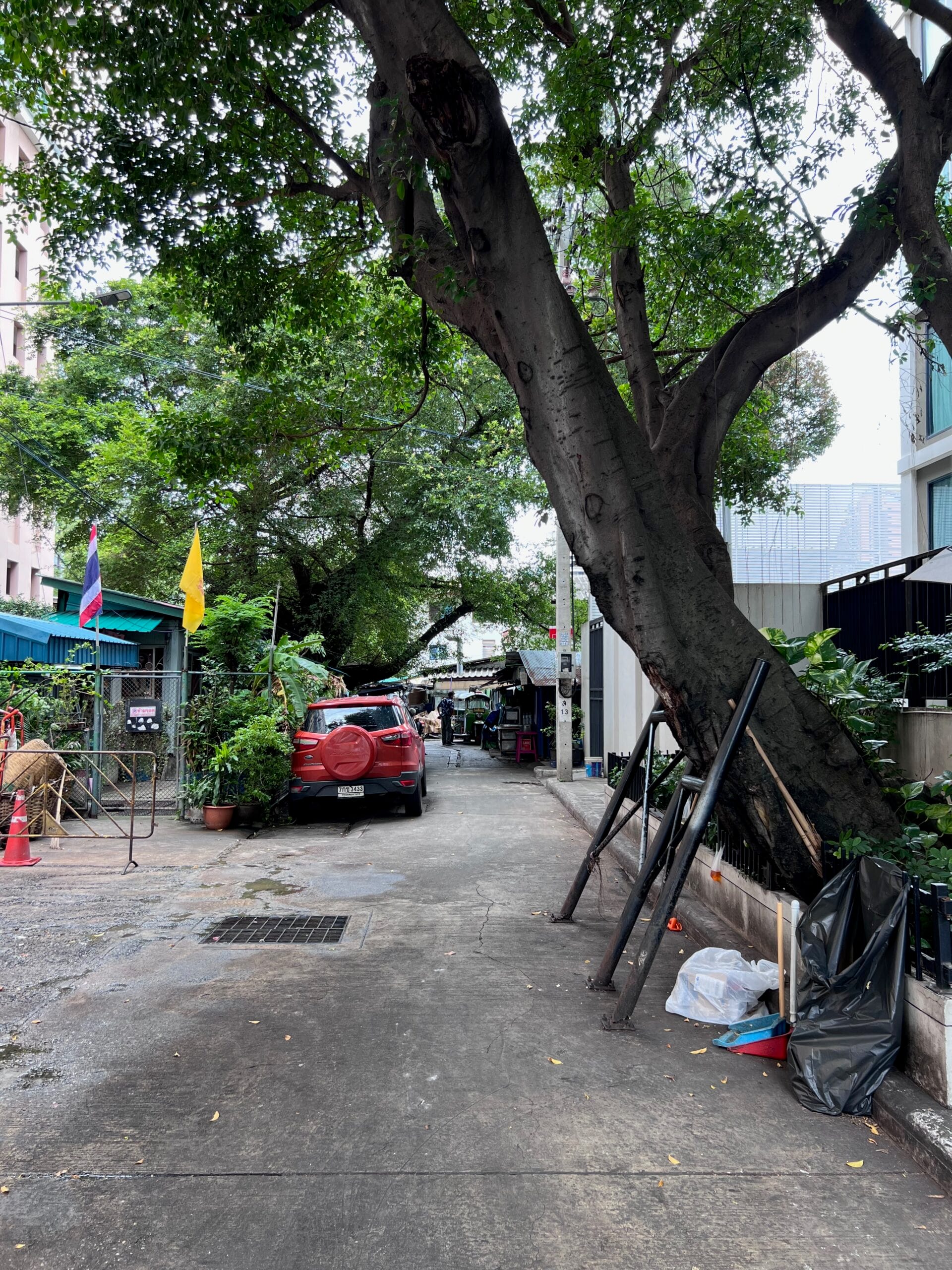 Narrow alley in Bangkok with a tree held up by metal posts