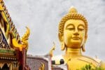 Self-Guided Walking Adventure: Golden Buddha to the Tracks